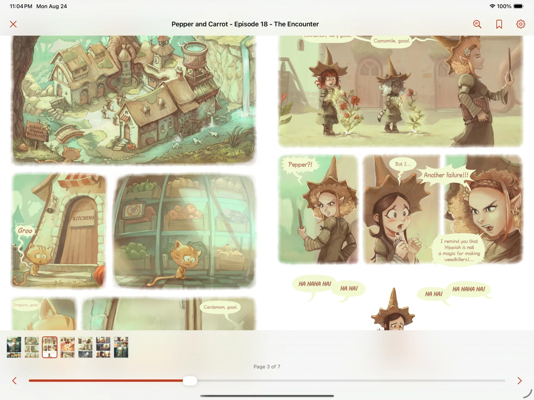 Pepper & Carrot in double-page mode on iPad with reader controls visible